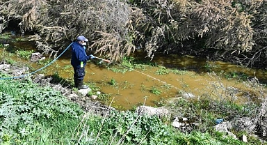 İzmir Büyükşehir Belediyesi ilaçlama çalışmalarına hız verdi