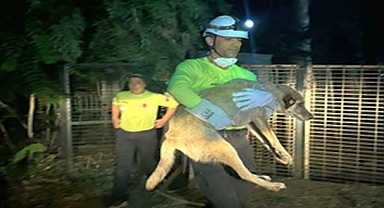 Büyükşehir ekipleri can dostları yangından korudu