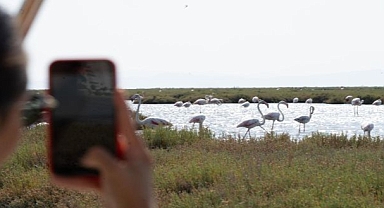 Doğa ve lezzet tutkunları bu turları çok sevecek