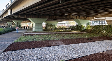 İzmir’in çehresi su tasarruflu bitkilerle güzelleşiyor