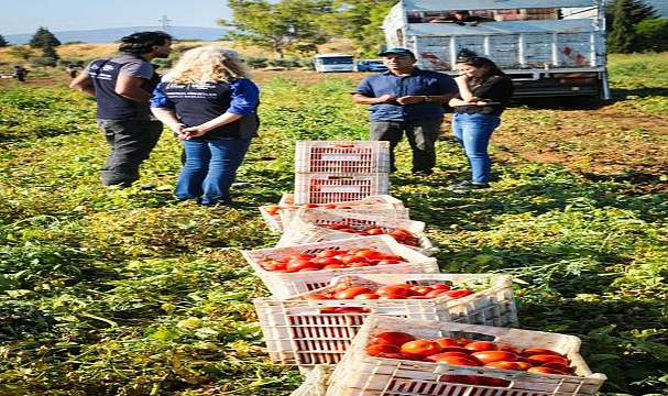 Torbalı’nın kuru domates emekçileri yalnız bırakılmadı
