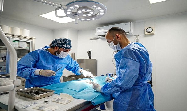 Torbalı’da Can Dostlarına Yapılan Hizmet Büyük Alkış Alıyor